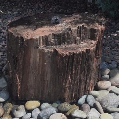 Modern Fountain - Black Petrified Wood