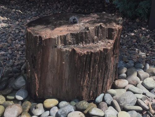 Modern Fountain - Black Petrified Wood