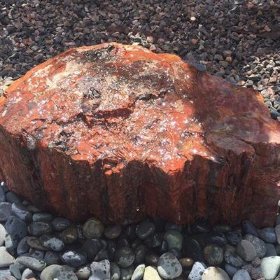 Modern Fountain - Red Petrified Wood