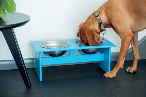 Modern Patio Furniture - Double Dog Bowl