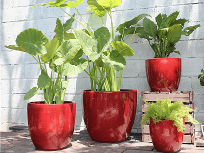 red set of planters