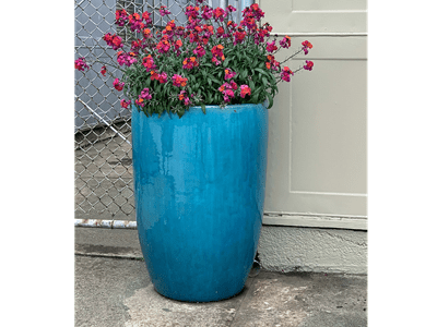 blue porch planter